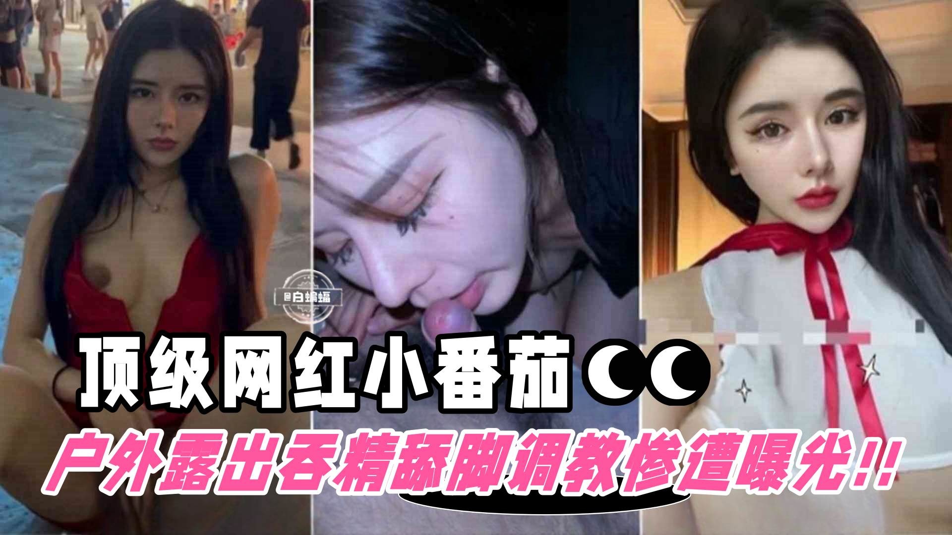 网红黑料-顶级稀缺颜值女神‘小番茄’沦为金主性奴 户外露出舔脚调教惨遭泄密