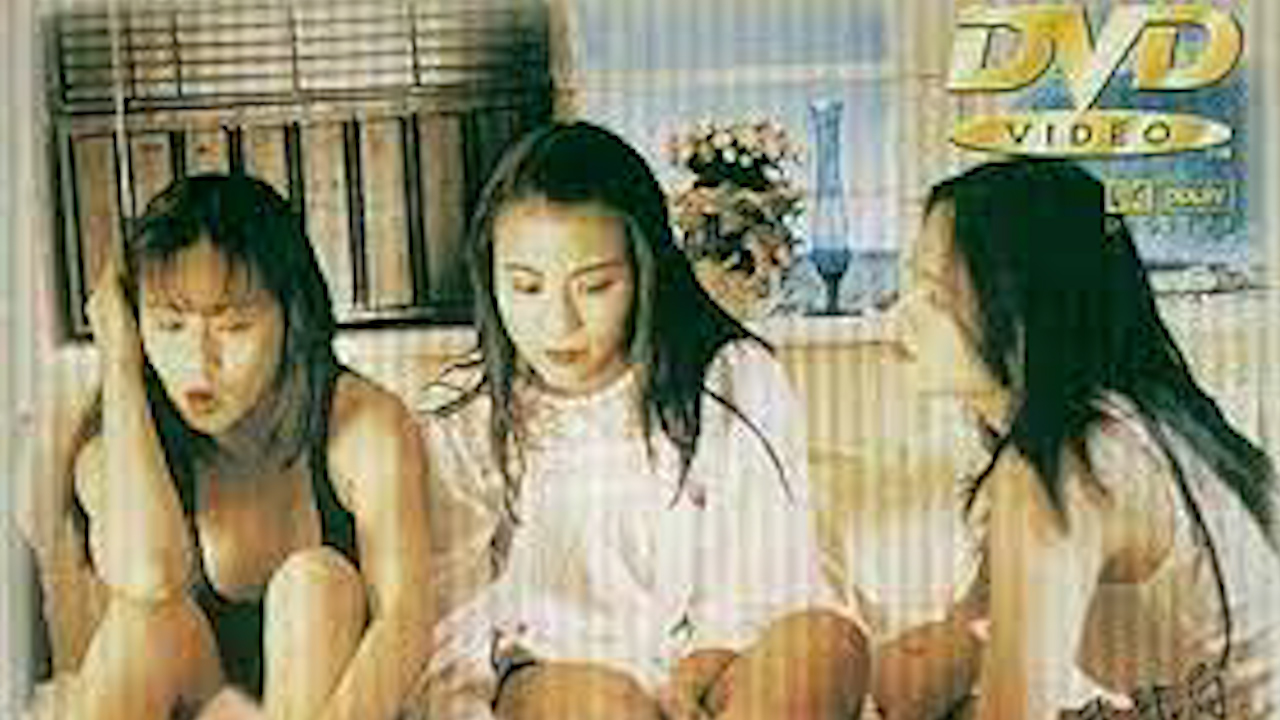 风尘三女侠,李丽珍=国产三级